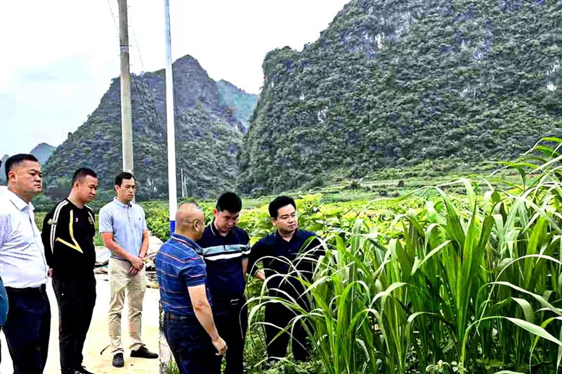 1745567282564847.jpg 图片2_副本.jpg